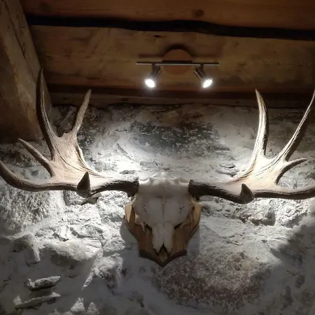 Nuustaku Rancho Otepaa