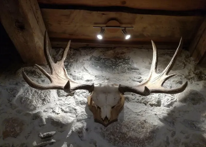 Nuustaku Rancho's Otepää